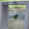 moldavite véritable famille impactite tectite pas chère forme originale de coeur parfaite pour la lithothérapie